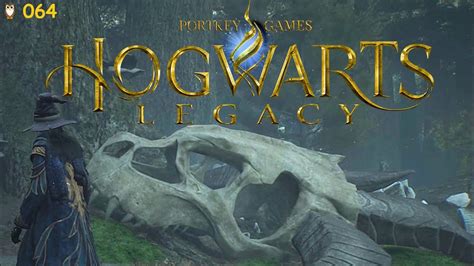 Lets Play Hogwarts Legacy Folge 064 Kosmetika und Erbstücke rpg