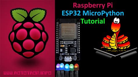 Esp32 Micropython Tutorial With Raspberry Pi