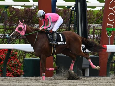 【シリウスs予想】秋のビッグタイトルにつながる一戦 オールダートの中京1900を制するのは？ 競馬ニュース Netkeiba