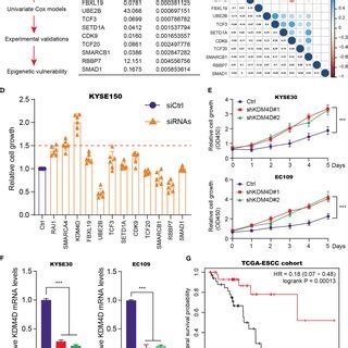 Identification Of Kdm D As A Prognostic Factor For Escc A