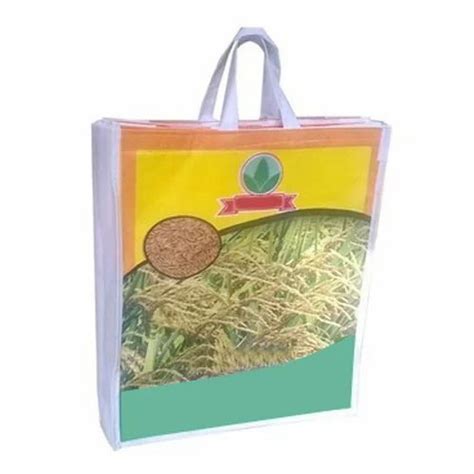 Multicolor Non Woven Carry Bag Capacity 5kg At Best Price In