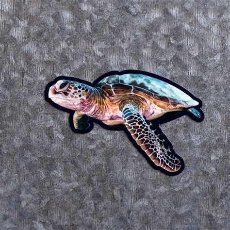 Turtle Magnet Etsy