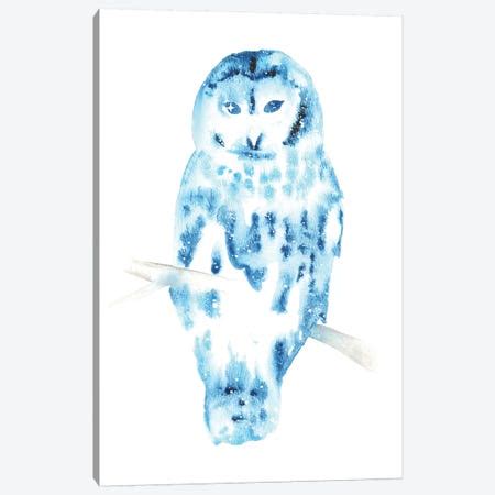 Funny Cute Owl Canvas Art Print by Anna Brigitta Kovacs | iCanvas