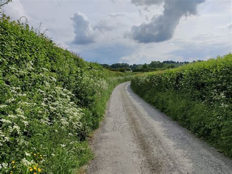 Lane Towards Lower Dinchope Mat Fascione Cc By Sa Geograph