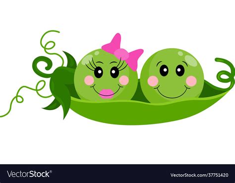 Two infant baby peas in a pod Royalty Free Vector Image