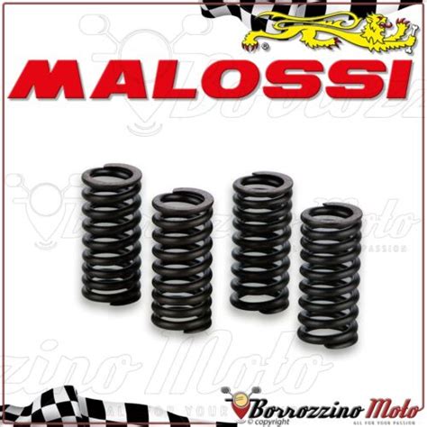 Malossi 2912834 Set 4 Federn Für Ventile Piaggio Xevo 125 4T LC Leader