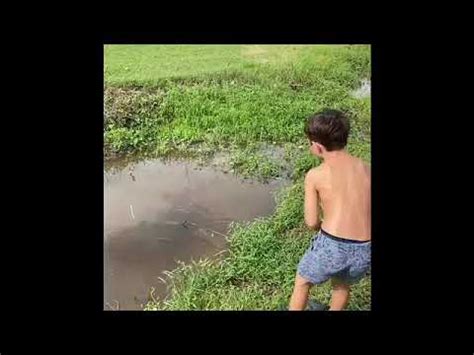 Catching Bluegills In My Trap Youtube