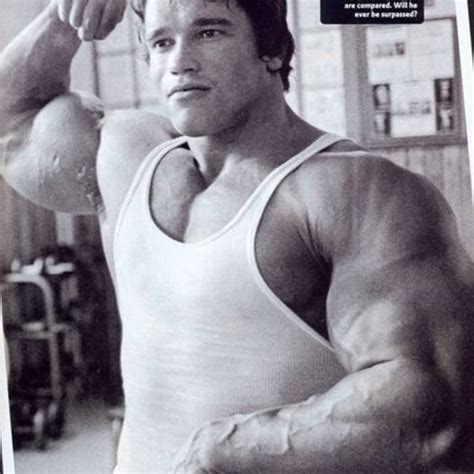 Arnold Schwarzenegger Workout Plan Pdf - Infoupdate.org