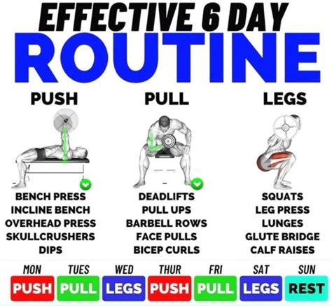 Effective 6 Day Routine Push Pull Legs Push Pull Legs Workout Push