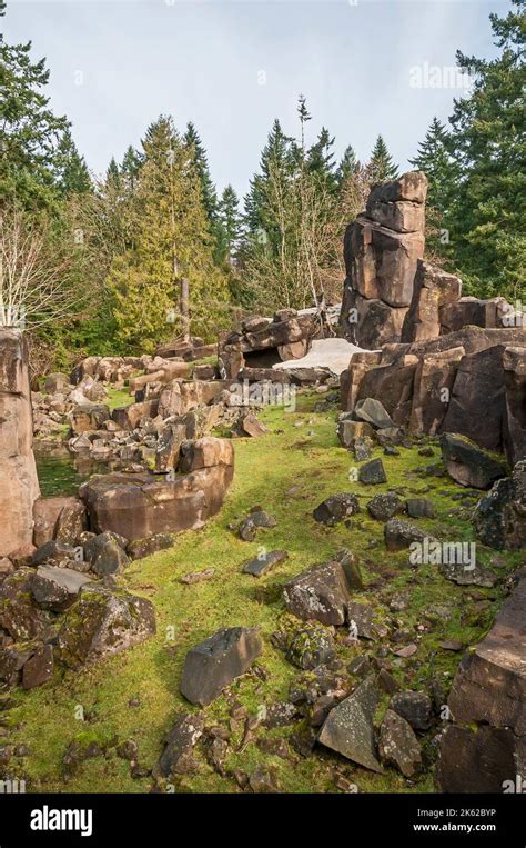 The World Forestry Center Rocks Display In Washington Park In Portland