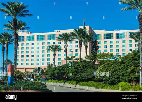 Moody gardens hotel spa and convention center hi-res stock photography and images - Alamy