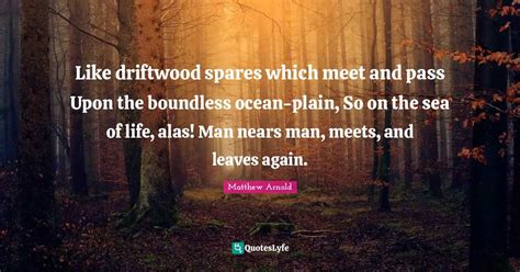 Best Driftwood Quotes with images to share and download for free at QuotesLyfe