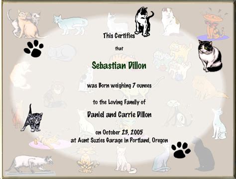 Keepsake Cat Birth 85 X 11 Inch Certificate Cat Collage In Printable