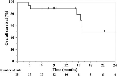 Nivolumab For Advanced Non Small Cell Lung Cancer Patients With Mild