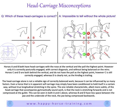 Head-Carriage Misconceptions