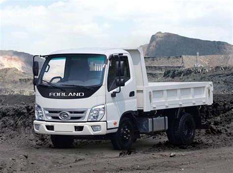 Foton Forland Truck 42 1 10 Ton New Used Truck Global Supplier