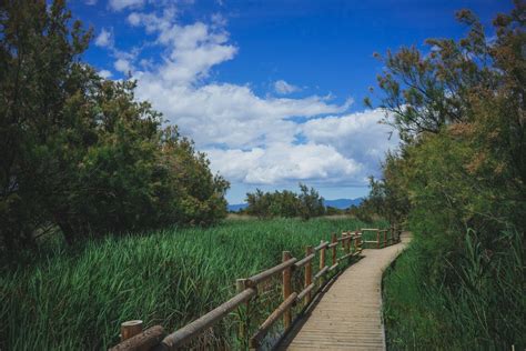 Toujours Dans Le Parc Naturel Des Aiguamolls Sur La Costa Brava