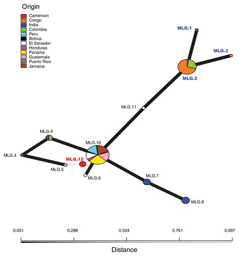 Global Analysis Of Hemileia Vastatrix Populations Shows Clonal