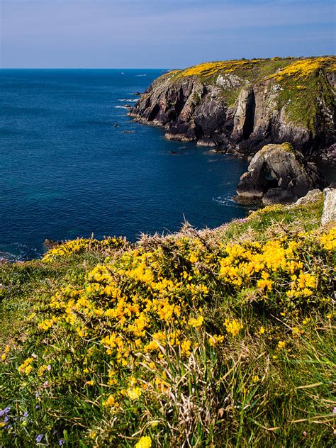 St Non S Bay Pembrokeshire Photograph By Mark Llewellyn Fine Art America