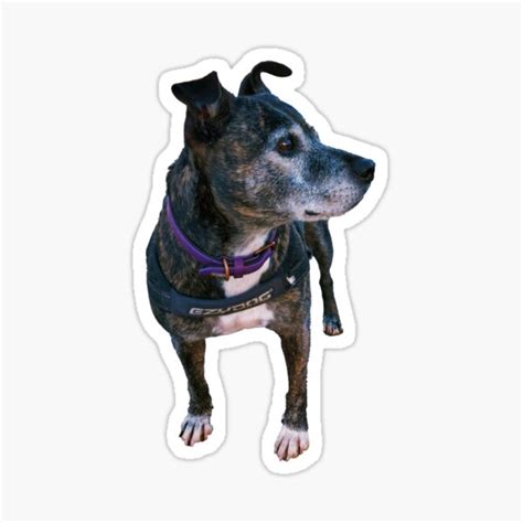 Sadie Sticker For Sale By Ademcfade Redbubble