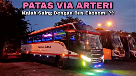 NGENES Ga Bawa Penumpang Kalah Saing Dari Bus Ekonomi Trip Bus Patas