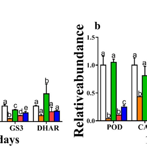 Effects Of S And Rac Metolachlor On The Transcription Of Genes That