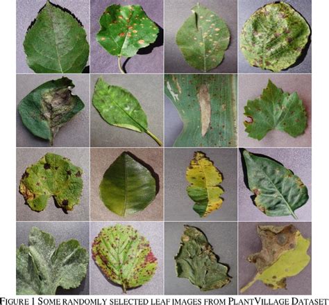 Figure From Leaf Image Based Plant Disease Identification Using Color