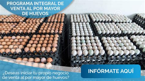 Venta Al Por Mayor De Huevos Mep Miempresapropia