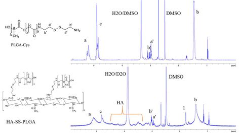 H Nmr Of Ha Ss Plga And Plga Cys In Dmso D D O And Dmso D