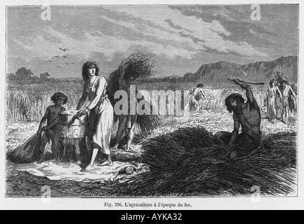 Iron Age Farming Stock Photo - Alamy