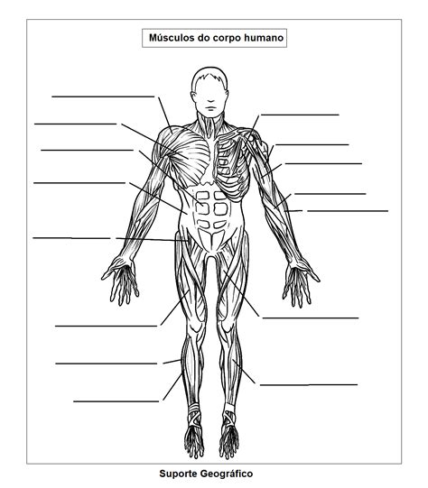 Desenho Corpo Humano Para Colorir - Desenho Corpo Humano Para Colorir - REVOEDUCA