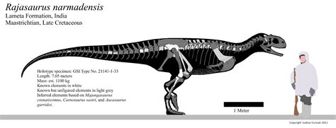 Dinopedia Discord Lore Fandom