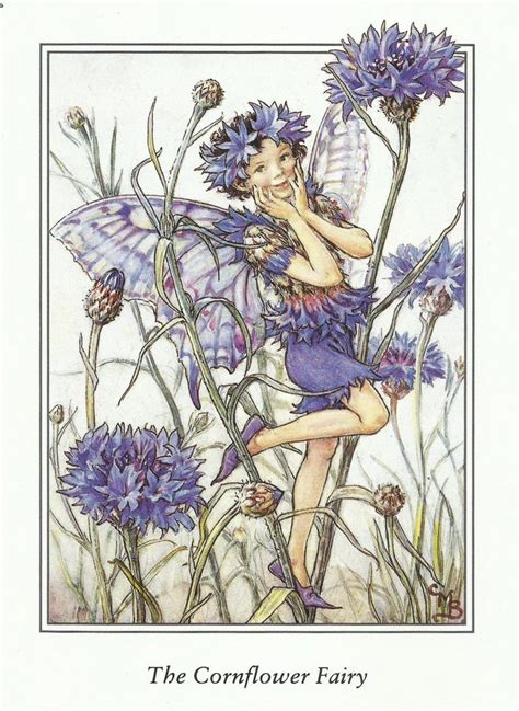 Cornflower Fairy Cicely Mary Barker Flower Fairies Vintage Print 1995