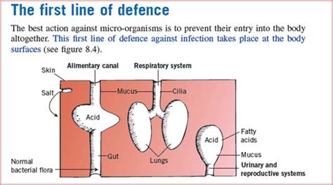 First Line Of Defence