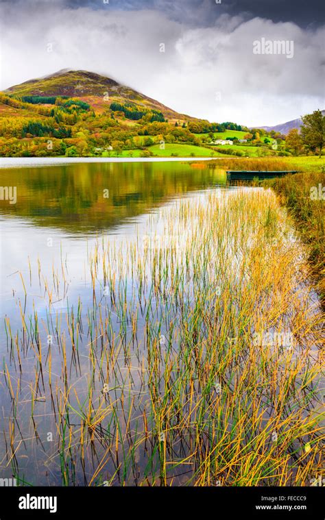 Loweswater And Low Fell In The Lake District National Park Cumbria