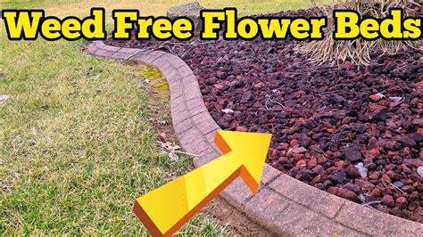 How To Keep Weeds Out Of Your Flower Beds Youtube