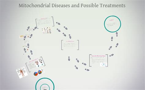 Mitochondrial Diseases and Possible Treatment by Guillermo Andres Cidre ...