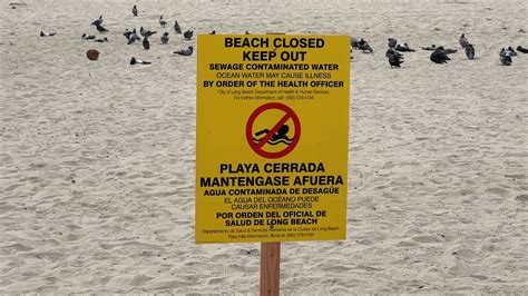 California Beaches Close After Sewage Spill Cgtn America