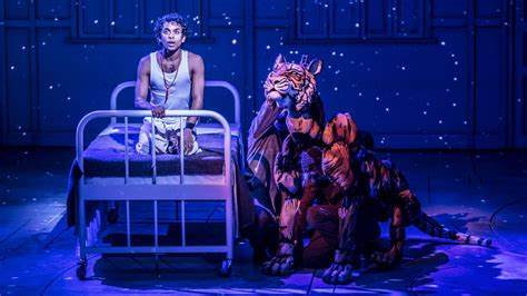 Show Of The Month Life Of Pi The Oxford Magazine