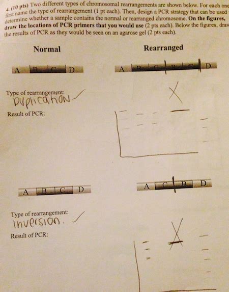 Solved Two different types of chromosomal rearrangement are | Chegg.com