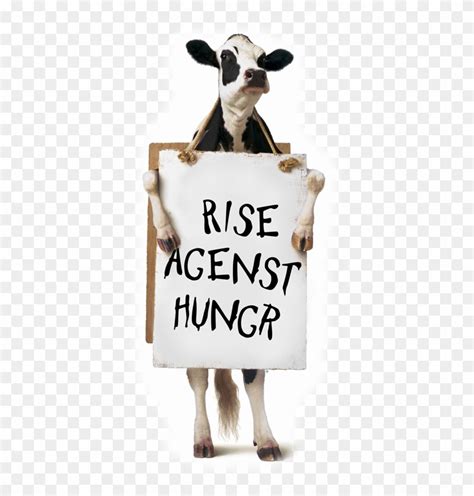 Good 20 Chick Fil A Cow Png For Free Download On Ya-webdesign - Cow Saying Eat More Chicken ...