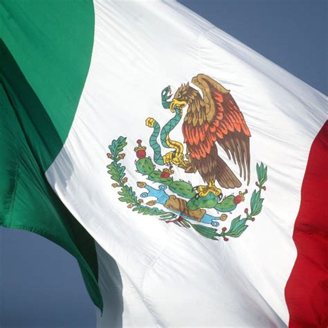 Significado Del Aguila En El Escudo Y Bandera De Mexico Escudo De