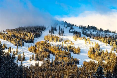 Beaver Mountain Web Cam - Mountain Cams - Live Snow Cam