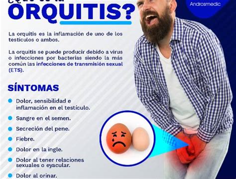 ¿tienes Inflamación En Tus Testículos 🦛 Anuto Clasificados