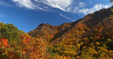 Chimney Tops Trail: Smoky Mountain Hikes - PigeonForge.com