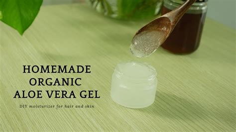 How To Make Pure Organic Aloe Vera Gel And Store It For Monthssnow Home Youtube