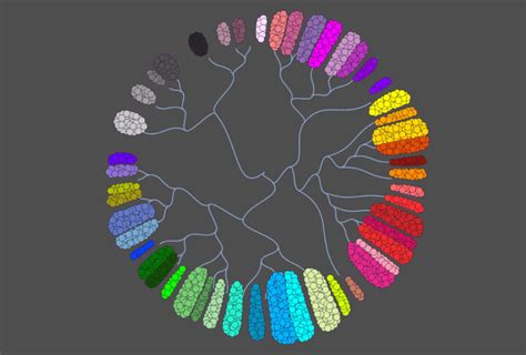 Sequencing approach bares large variety of brain cell types | Spectrum | Autism Research News