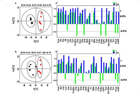 The Opls Da Score Plots And Loading Plots Derived From The Mhz H