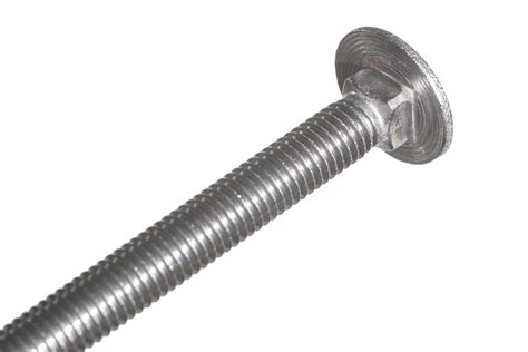 Carriage Bolts Stainless Steel M X Mm Quick Delivery