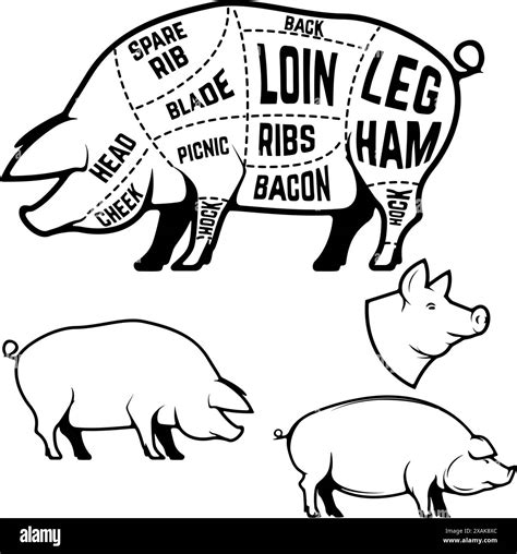 Butcher Diagram Scheme And Guide Pork Cuts Set Of Pig Silhouettes